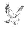 Falcon 1