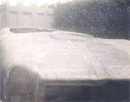 Torero 8